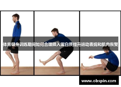 体育健身训练期间如何合理摄入蛋白质提升运动表现和肌肉恢复